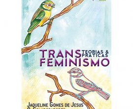 Transfeminismo – teorias e práticas